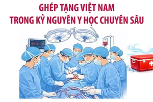 Ghép tạng Việt Nam trong kỷ nguyên y học chuyên sâu