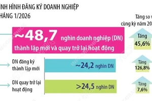 Tháng 1/2026: Số doanh nghiệp thành lập mới và quay trở lại hoạt động tăng 45,6%
