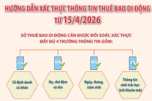 Hướng dẫn xác thực thông tin thuê bao di động từ 15/4