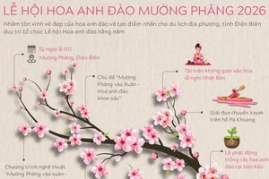 Lễ hội Hoa anh đào Mường Phăng 2026