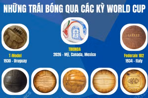Tìm hiểu về những trái bóng qua các kỳ World Cup