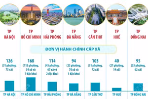 Thông tin về 7 thành phố trực thuộc Trung ương