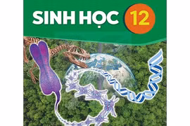 Đừng sa đà vào câu khó, những lưu ý mấu chốt để không "mất điểm oan" môn Sinh học