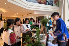 Khách tham quan tại Hội nghị quan tâm gian hàng giới thiệu du lịch y tế thông qua hình thức “chữa lành” từ các điểm du lịch tái tạo không gian Tây Bắc tại Thành phố Hồ Chí Minh. (Ảnh: PV/Vietnam+)