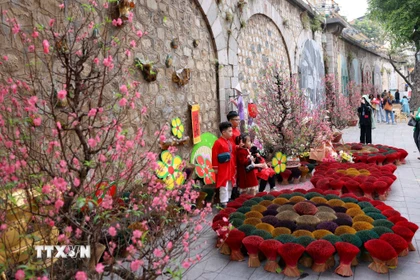 Ảnh minh họa. (Nguồn: TTXVN)