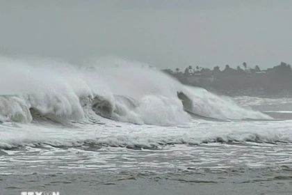 (Ảnh minh họa: Phạm Cường/TTXVN)