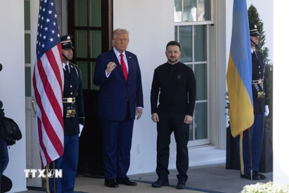 Tổng thống Mỹ Donald Trump (trái) và Tổng thống Ukraine Volodymyr Zelensky. (Ảnh: THX/TTXVN)