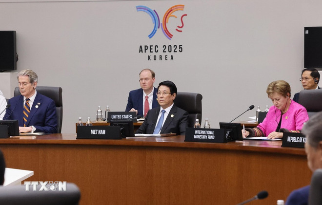 ประธานาธิบดีเลืองเกื่องเข้าร่วมการประชุมสุดยอดความร่วมมือทางเศรษฐกิจเอเชีย-แปซิฟิก (เอเปค) ครั้งที่ 32 (ภาพ: Lam Khanh/VNA) ttxvn-3110-chu-tich-nuoc-apec-7.jpg