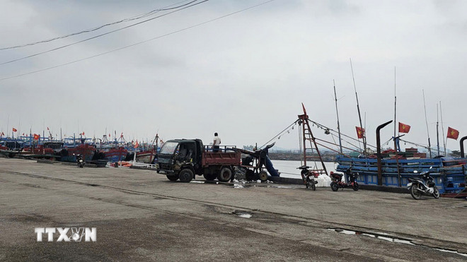 ttxvn-2503-thanh-hoa-iuu-3.jpg