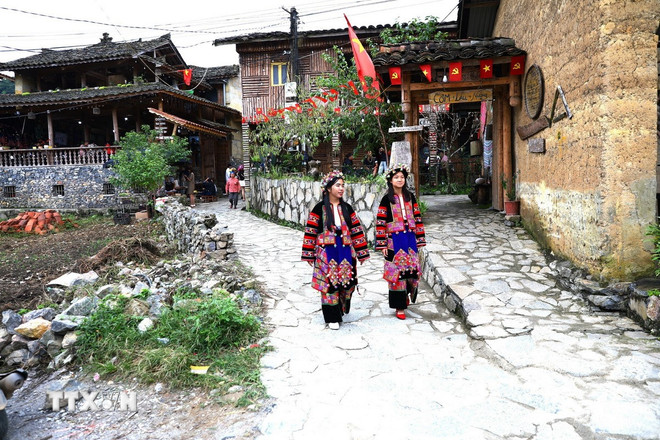 Die Häuser im Lo Lo Chai Community Tourism Village in der Gemeinde Lung Cu sind mit leuchtend roten Fahnen mit gelben Sternen geschmückt, um den ersten Parteitag der Tuyen Quang für die Amtszeit 2025–2030 willkommen zu heißen. (Foto: Minh Tam/VNA) ttxvn-2309-tuyen-quang-2.jpg