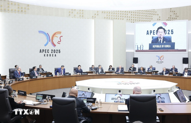 Chủ tịch nước Lương Cường dự Phiên họp thứ 2 Hội nghị Cấp cao APEC lần thứ 32 ttxvn-0111-chu-tich-nuoc-apec-3.jpg