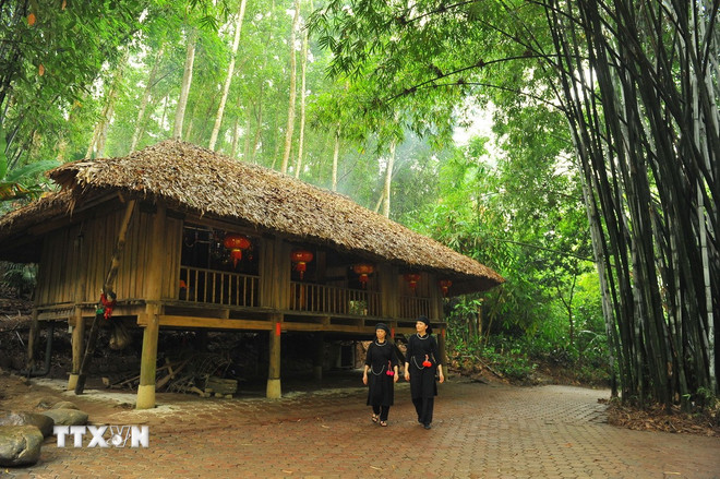 In het dorp Thai Hai zijn de Tay- en Nung-paalwoningen gebouwd te midden van de weelderige groene bergen en bossen. Deze trekken toeristen die van een rustig leven houden. (Foto: Minh Duc/VNA) ttxvn-2010-lang-thai-hai.jpg