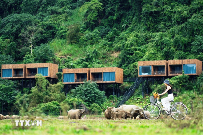 Gemeenschapstoerismemodel in het dorp Tan Hoa (Quang Tri). (Foto: VNA) ttxvn-2010-lang-tan-hoa.jpg