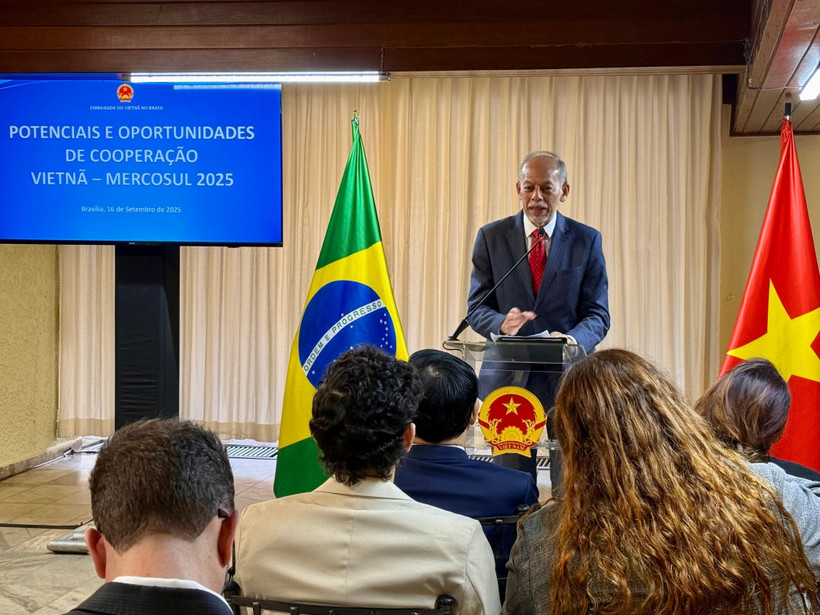 Thứ trưởng Bộ Khoa học, Công nghệ và Đổi mới sáng tạo Brazil Inácio Arruda phát biểu tại Hội thảo. (Ảnh: TTXVN phát)