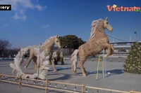 Ngỡ ngàng “đàn ngựa cỏ bạc” chào Tết Bính Ngọ 2026 tại Hàn Quốc 