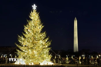 Cây thông Noel Quốc gia Mỹ rực rỡ ánh đèn trong mùa lễ hội, bên cạnh biểu tượng Tháp Bút chì (Washington Monument) nổi tiếng của thủ đô Washington DC. (Ảnh: Ngọc Quang/TTXVN)