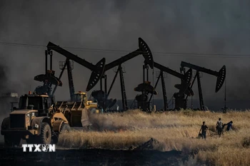 Ảnh minh họa. (Nguồn: AFP/ TTXVN)