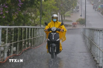 (Ảnh minh họa. Duy Khương/TTXVN)