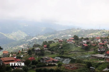 Toàn cảnh Colonia Tovar nhìn từ trên cao. Thị trấn nhỏ nổi bật giữa núi rừng xanh thẳm với những mái ngói đỏ đặc trưng. (Ảnh: Phi Hùng/TTXVN)