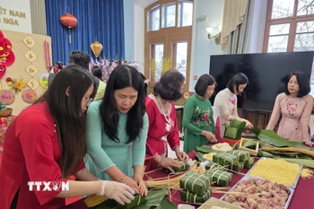 Các phu nhân cán bộ, nhân viên Đại sứ quán và các cơ quan bên cạnh Đại sứ quán tại Nga tham gia gói bánh chưng. (Ảnh: Trần Hải/TTXVN)