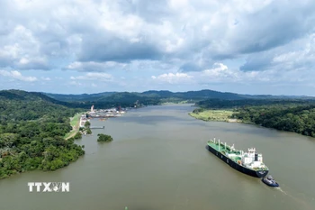 Ảnh minh họa. (Ảnh: THX/TTXVN)