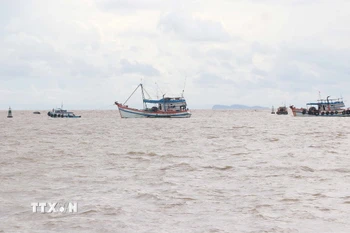 Công tác chống khai thác IUU là nhiệm vụ cấp bách, có ý nghĩa lâu dài đối với phát triển bền vững ngành thủy sản. (Ảnh: Huỳnh Anh/TTXVN)