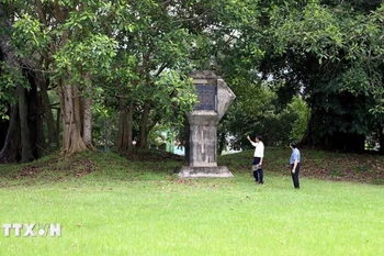 Cây đa Tân Trào, nơi Đại tướng Võ Nguyên Giáp đọc bản Quân lệnh số 1, làm lễ xuất quân tiến về giải phóng Thủ đô Hà Nội. (Ảnh: Quang Cường/TTXVN)