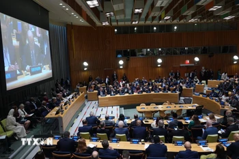 Toàn cảnh Hội nghị quốc tế của Liên hợp quốc về xung đột Israel-Palestine, do Pháp và Saudi Arabia đồng chủ trì, tại New York, Mỹ ngày 28/7/2025. (Ảnh: AA/TTXVN)