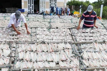 Làng cá khô Gia Thuận. (Ảnh: Báo Đồng Tháp)