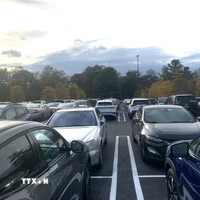 Ảnh minh họa. (Ảnh: Ngọc Quang/TTXVN)