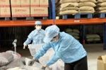 Công nhân Simexco Daklak đóng thùng lô hàng vỏ cà phê Cascara đặc sản trước khi xuất khẩu sang thị trường Hàn Quốc. (Nguồn: TTXVN)