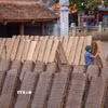 Sân đình làng Thổ Hà cổ kính trở thành không gian phơi bánh đa nem lý tưởng, hòa quyện giữa nhịp sống lao động và giá trị di sản. (Ảnh: Hà Anh/TTXVN phát)