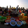 Rau vườn, trái cây là cây nhà, là cá bắt dưới mương lên còn tươi xanh. (Ảnh: Duy Khương/TTXVN)