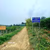 Hiện Công ty cổ phần Dược liệu Pù Mát kết hợp giữa vùng trồng dược liệu để phát triển du lịch canh nông, thu hút khách du lịch. (Ảnh: TTXVN phát)