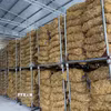 Theo các hộ sản xuất, gừng Kỳ Sơn hiện vẫn khó cạnh tranh với sản phẩm cùng loại từ Trung Quốc, Thái Lan do củ gừng chưa đồng đều về mẫu mã, kỹ thuật canh tác còn hạn chế, trong khi chi phí vận chuyển tăng cao khiến hoạt động xuất khẩu gặp nhiều trở ngại. Vì vậy, sản phẩm chủ yếu tiêu thụ tại thị trường trong nước. (Ảnh: TTXVN phát)