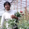 Gia đình anh Cil Ha Vit (39 tuổi, tổ dân phố Đankia, phường Lang Biang-Đà Lạt) thu nhập trên 10 triệu đồng/tháng từ vườn hoa hồng công nghệ cao. (Ảnh: Nguyễn Dũng/TTXVN)