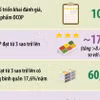 Chương trình OCOP: Động lực phát triển kinh tế nông thôn 