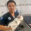 Đại úy Phạm Minh Trung, Tiểu đoàn trưởng, Tiểu đoàn Quân y Sư đoàn 4 cho biết các y, bác sỹ phối hợp với Trạm y tế địa phương tiến hành các biện pháp cấp cứu đúng quy trình, bảo đảm sức khỏe sản phụ và trẻ sơ sinh. (Ảnh: TTXVN phát)