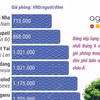 Phong Nha - Điểm đến châu Á tiết kiệm nhất mùa Xuân