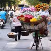 (Ảnh: Vietnam+)