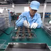Sản xuất linh kiện điện tử. (Ảnh: Vũ Sinh/TTXVN)