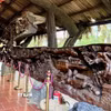 Bức tranh gỗ lũa khổng lồ dài gần 25m, nặng khoảng 20 tấn, được xem là một trong những tác phẩm công phu bậc nhất Việt Nam. (Ảnh: Thanh Sang/TTXVN)