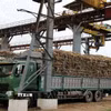 Nhà máy đường KCP (huyện Sơn Hòa, tỉnh Phú Yên) thu mua mía nguyên liệu của người dân để chế biến. (Ảnh: Tường Quân/TTXVN)