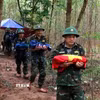 Từ đầu tháng 9 đến nay, tại khu vực rừng tràm thuộc bản Bãi Dinh, xã Dân Hóa (tỉnh Quảng Trị), lực lượng chức năng đã tìm thấy, cất bốc 8 hài cốt liệt sỹ. (Ảnh minh họa: Võ Dung/ TTXVN)