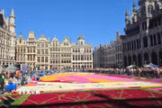 Những mảng màu rực rỡ của Thảm Hoa Brussels 2026 dần hiện ra trên Quảng trường lớn. (Ảnh: Lan Anh-Duy Tùng/TTXVN)