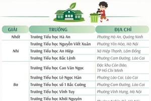 20 trường tiểu học được trao Giải trường học sinh thái ASEAN Việt Nam 2025