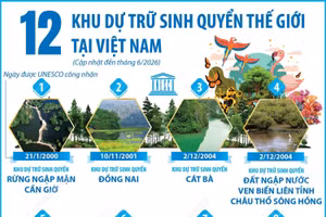 12 khu dự trữ sinh quyển thế giới tại Việt Nam