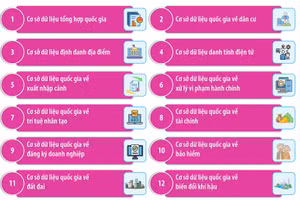 Danh mục 20 loại cơ sở dữ liệu quốc gia mới ban hành