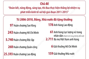 Đại hội thi đua yêu nước toàn quốc lần thứ VIII năm 2010