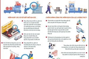 Chấn chỉnh công tác kiểm soát giết mổ gia súc